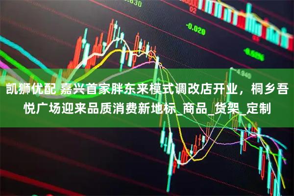 凯狮优配 嘉兴首家胖东来模式调改店开业，桐乡吾悦广场迎来品质消费新地标_商品_货架_定制